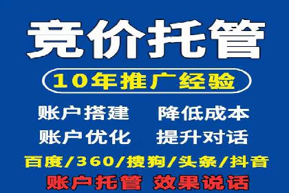 竞价排名失败案例：原因与教训